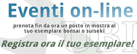 Iscrivi alla prossima mostra il tuo esemplare