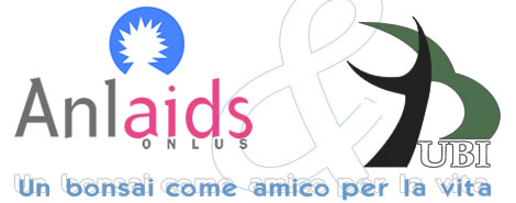 AID ANLAIDS